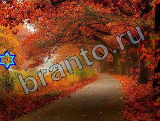 ответы на игру Найди животных Уровень 2221