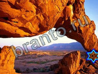 ответы на игру Найди животных Уровень 2222