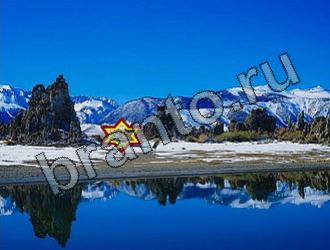 ответы на игру Найди животных Уровень 2224