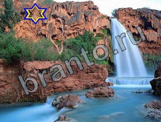 ответы на игру Найди животных Уровень 2225