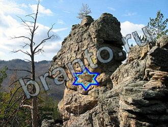 ответы на игру Найди животных Уровень 2227