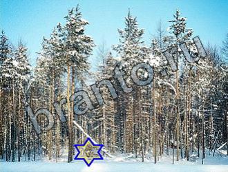 подсказки к игре Найди животных Уровень 2228