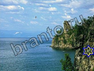 ответы на игру Найди животных Уровень 2230