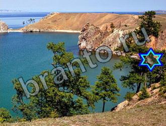 ответы на игру Найди животных Уровень 2232