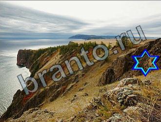 ответы на игру Найди животных Уровень 2234