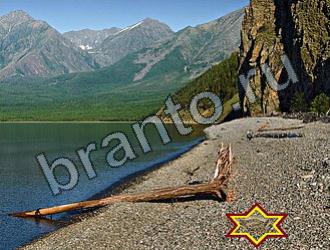 ответы на игру Найди животных Уровень 2235