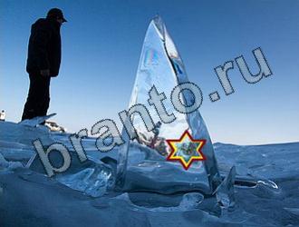 ответы на игру Найди животных Уровень 2236