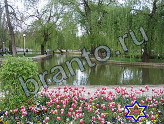 Найди животных Уровень 2237