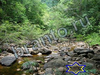 ответы на игру Найди животных Уровень 2238