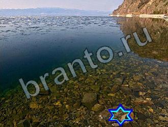 Найди животных подсказки Уровень 2241