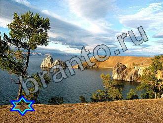 подсказки Найди животных Уровень 2244