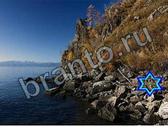 ответы на игру Найди животное Уровень 2245