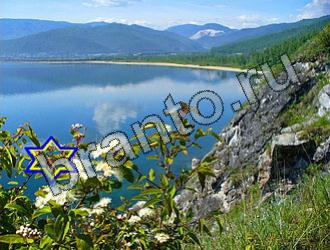 ответы на игру Найди животных Уровень 2246