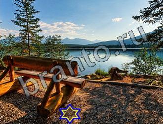 ответы на игру Найди животных в контакте Уровень 2250