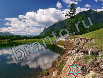 Найди животных игра ответы Уровень 2251