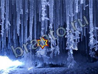 ответы на игру Найди животных Уровень 2252