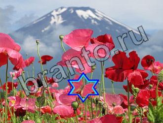 Найди животных решебник Уровень 2255