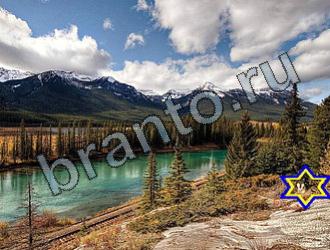 ответы на игру Найди животных Уровень 2257