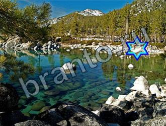 ответы на игру Найди животных Уровень 2259