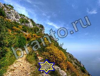 Игра Найди животных ответы Уровень 2260