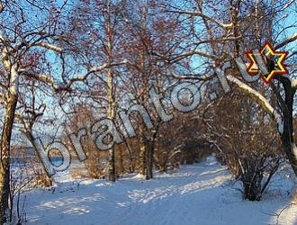 ответы на игру Найди животных Уровень 2261