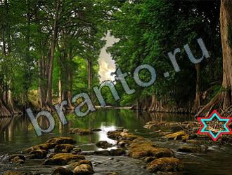 ответы на игру Найди животных Уровень 2262