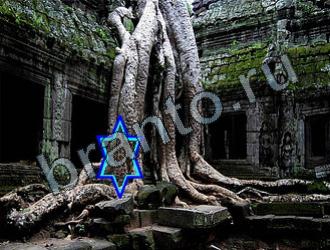 ответы на игру Найди животных Уровень 2263