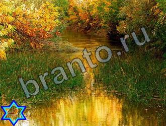 ответы на игру Найди животных Уровень 2264