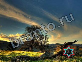 ответы на игру Найди животных Уровень 2267