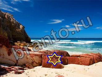 ответы на игру Найди животных Уровень 2269