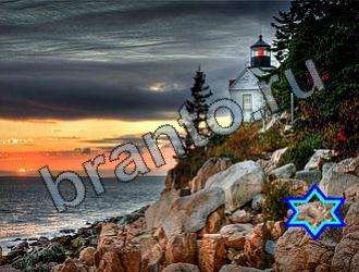 ответы на игру Найди животных Уровень 2271