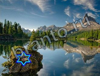 ответы на игру Найди животных Уровень 2272