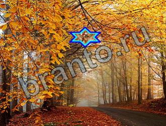 ответы на игру Найди животных Уровень 2273