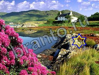 ответы на игру Найди животных Уровень 2274