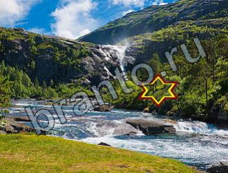 ответы на игру Найди животных Уровень 2276