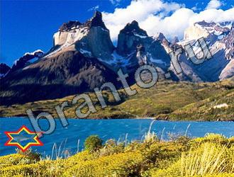 ответы на игру Найди животных Уровень 2277