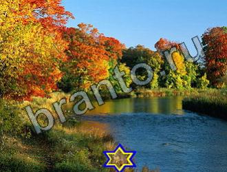 подсказки к игре Найди животных Уровень 2278