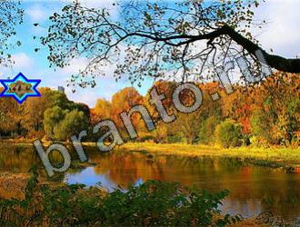 ответы на игру Найди животных Уровень 2279