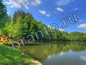 ответы на игру Найди животных Уровень 2280