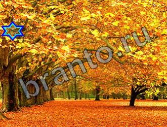 Найди животных ответы на игру Уровень 2281