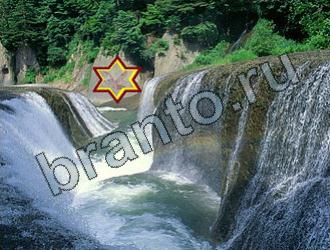 ответы на игру Найди животных Уровень 2282