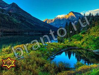 ответы на игру Найди животных Уровень 2284