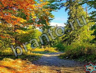 ответы на игру Найди животных Уровень 2285