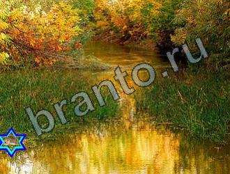 ответы на игру Найди животных Уровень 2288