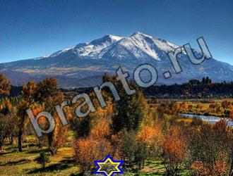 Найди животных Ответы Уровень 2289