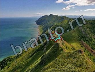 ответы на игру Найди животных Уровень 2290