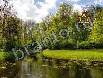 Игра Найди животных ответы Уровень 2293