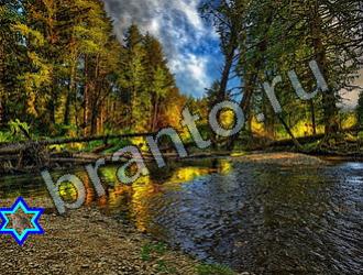 ответы на игру Найди животных Уровень 2296