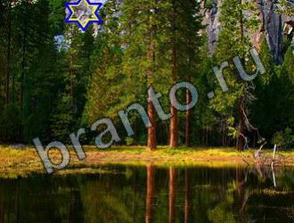 подсказки на игру Найди животных Уровень 2297