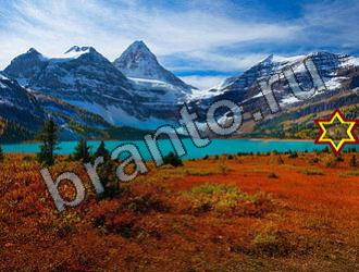 ответы на игру Найди животных одноклассники Уровень 2298